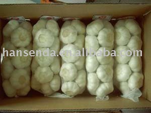 1000g net bag Fresh Pure White Garlic