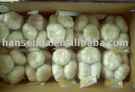 250g  net  bag Fresh Pure  White  Garlic