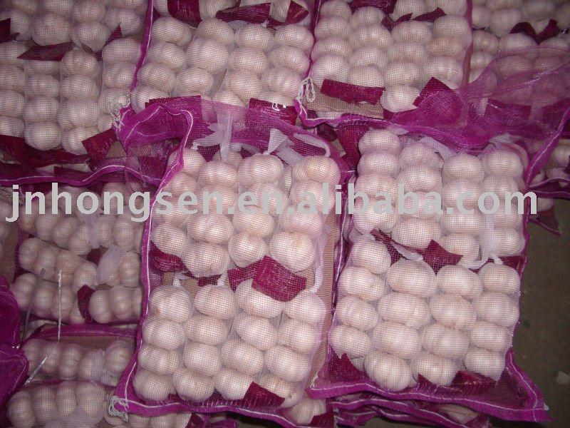 2010  fresh garlic