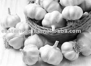 Fresh Chinese White Garlic in Small Package