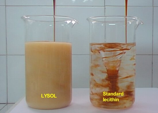 Lysolecithin
