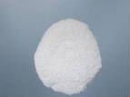 Shark Collagen (90% up) for Sale