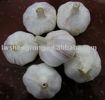 Normal White Fresh Garlic,pizhou garlic