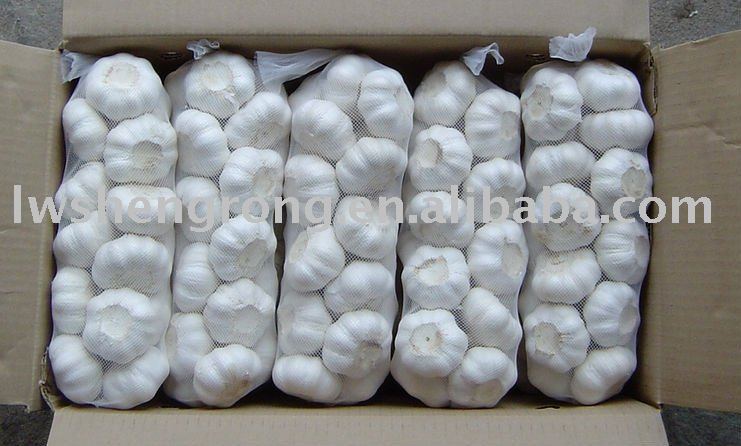  garlic ,fresh  garlic , shandong   garlic 