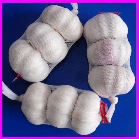 Nomal White  Garlic