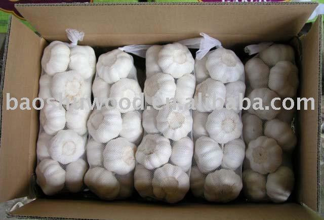 2010 newest pure white garlic