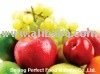  Fruit   Concentrate d  Juice 
