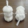 fresh regular white garlic