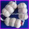 regular white garlic--2010 new crop popular