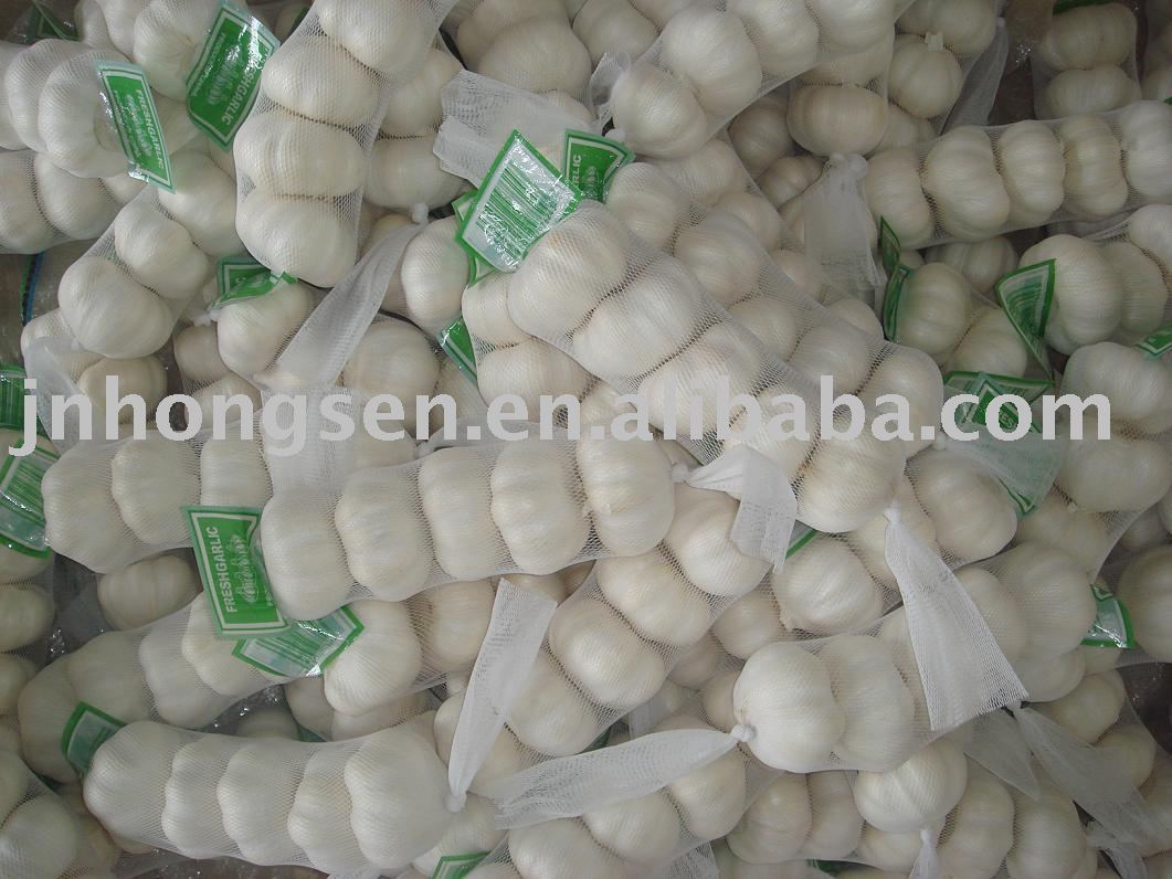 2010  Fresh  Garlic
