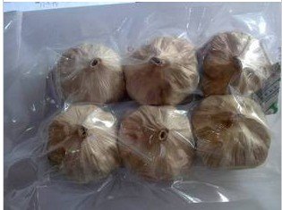 free shipping black garlic