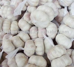 Pure White Garlic,2010 garlic