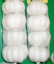 jinxiang fresh normal white garlic