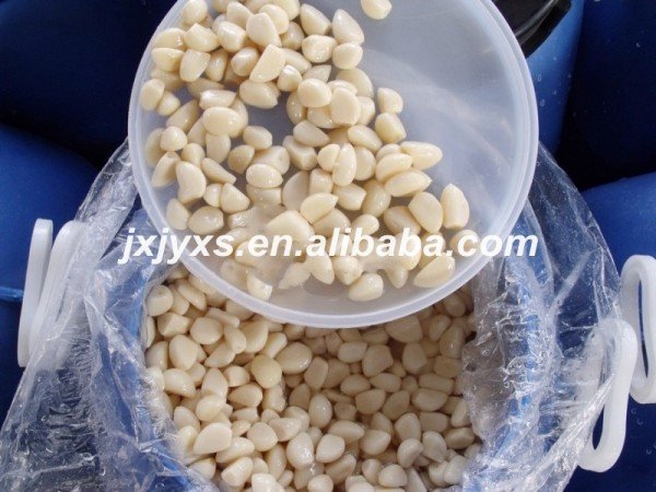 chinese fresh  peeled    garlic  small packing