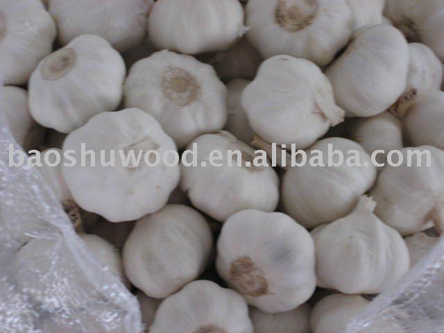 2010   fresh garlic