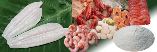 Additive PRESERVATIVE  for processing seafood