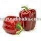  Oleoresin   Paprika 