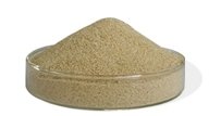  Sodium   Alginate  ( Food /  Textile  Printing/ dental impression Grade)