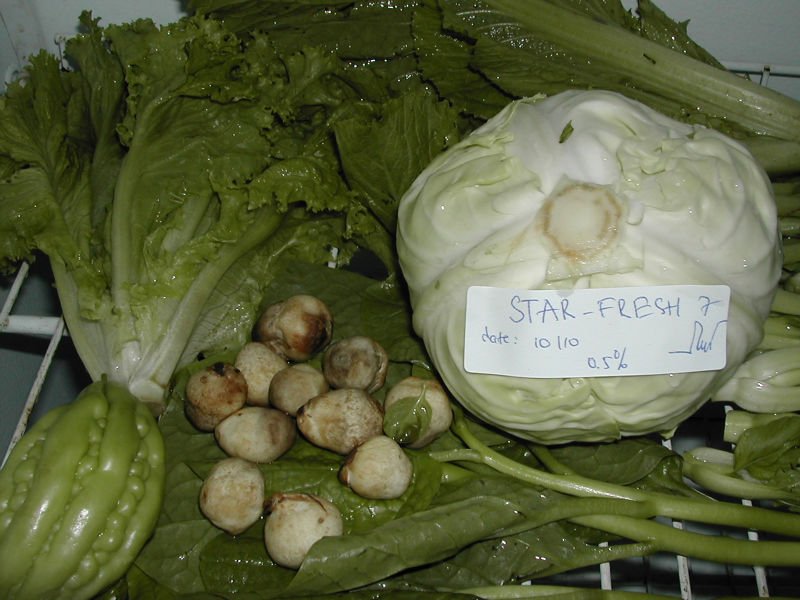 starfresh 7