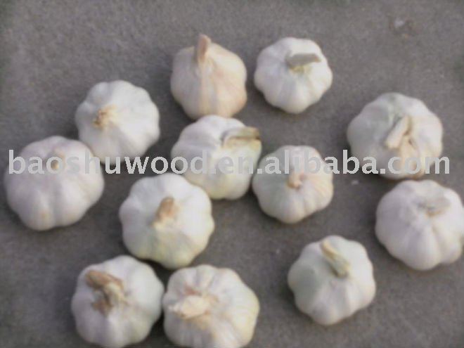 2010 fresh    white    garlic ( mesh   bag  )
