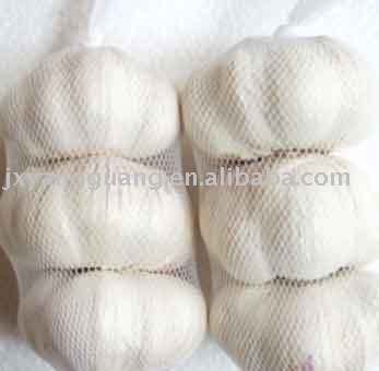 jinxiang  snow white     garlic