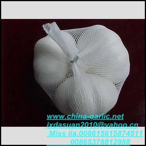 Chinese fresh whole  white garlic with  3pcs
