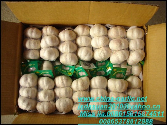 3pcs/bag pure white garlic in 10kg carton