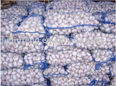  white   top  garlics