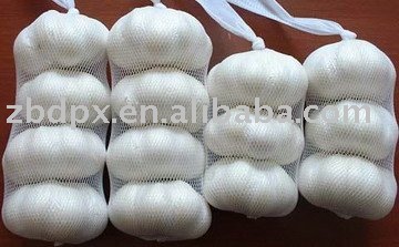 5cm fresh normal white garlic