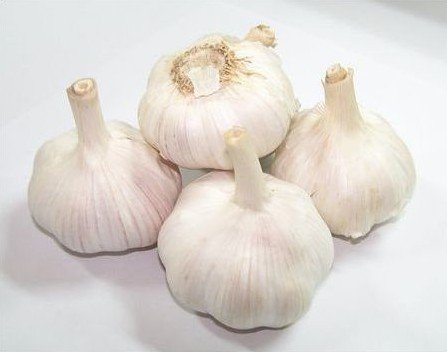 China Fresh Garlic in Mesh Bag Package with size 4.5cm