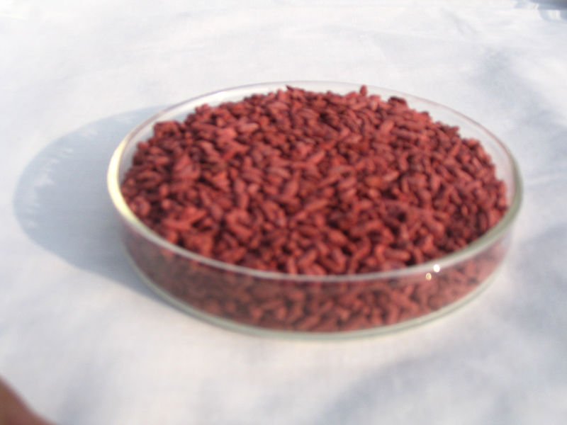  Monascus   color 