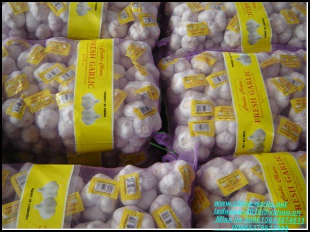 super  white garlic in 10kg small packing