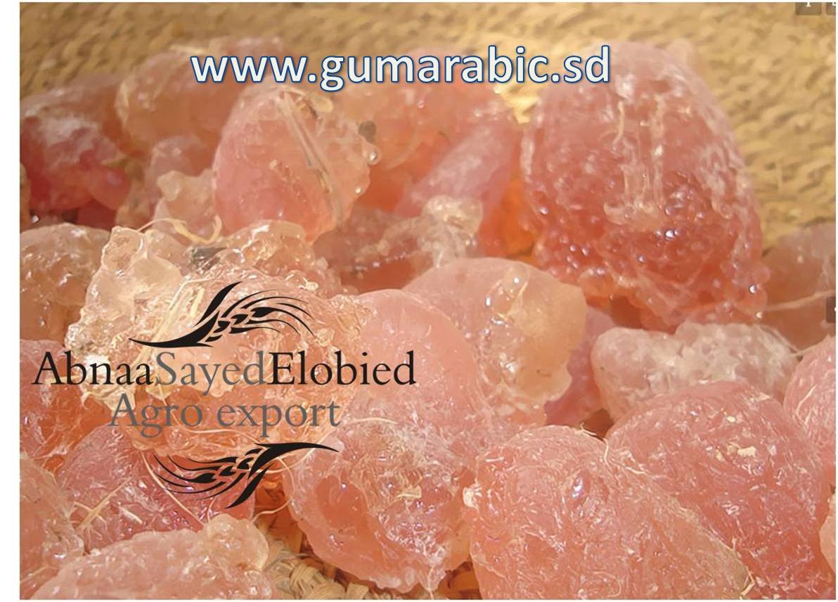Hashab Gum Arabic - Cleaned grade