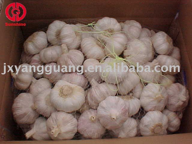 Chinese normal white garlic of high quality