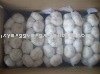 chinese pure white garlic of high quality