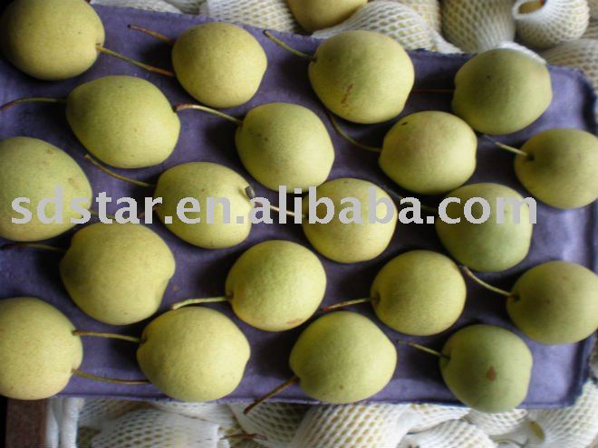 sell chinese delicious green fresh garlic