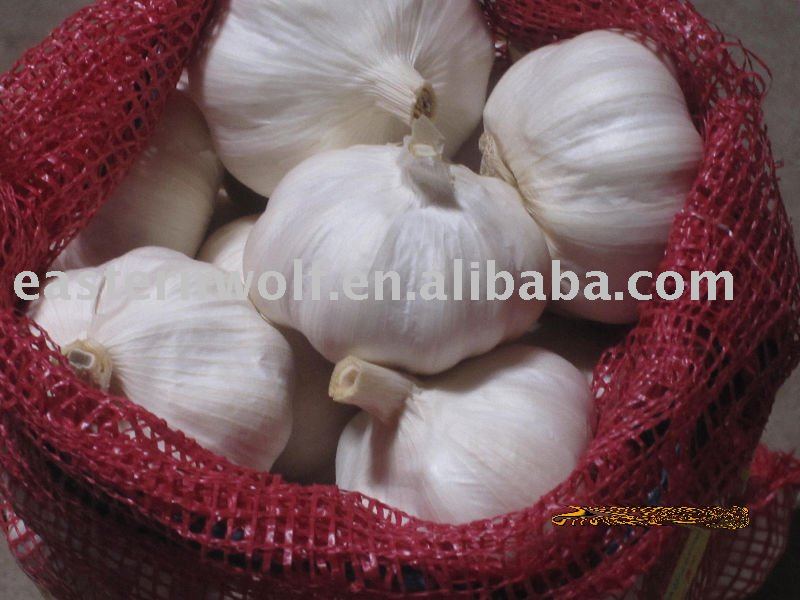 Pure white garlic in 10kg mesh bag package . MOQ:1*20`FCL