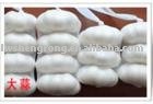 Fresh Garlic in Shandong,pizhou garlic