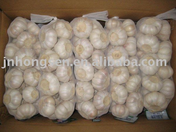 white garlic (spices,new season)