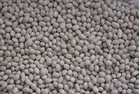 White Kidney Bean ( Navy Bean)