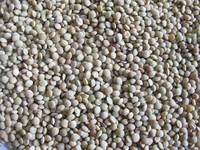Chinese Green Lentils