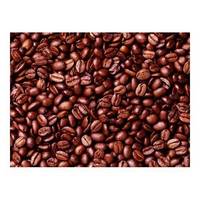 Cocoa Bean