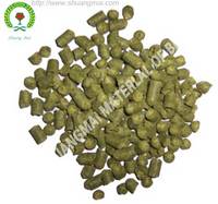 Beer Hops