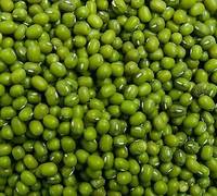 Chinese Green Mung Beans