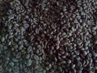 Indonesian  Coffee   Robusta 