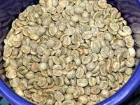 Organic Green Coffee