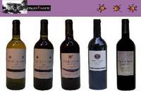 Wines From Spain