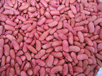Small Red Kidney Beans