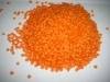 Red Lentil