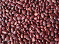 Beans and Pulses   Fruts   Vegetables